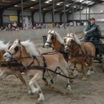 Foto's menclub-192