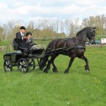 Foto's menclub-234