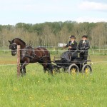 Foto's menclub-236
