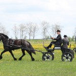 Foto's menclub-243