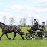 Foto's menclub-249