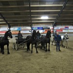 Groepsfoto groep 1