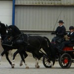 Rienk Sybrandy met Elmo en Eros