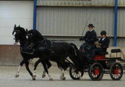 Rienk Sybrandy met Elmo en Eros