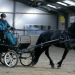IMG_9888 - uitgelicht