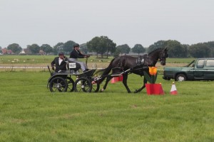 Elke vd Snoek