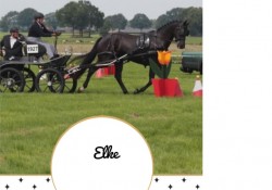Elke