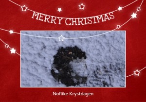 Krystkaart