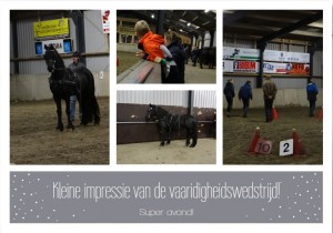 Vaardigheidswedstrijd