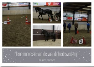 Vaardigheidswedstrijd2