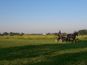 IMG-20180515-WA0000
