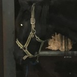 Dressuurwedstrijd 11032019 2