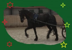 kerstkaart 22